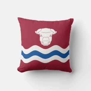 Flag of Herefordshire (UK County) Cushion