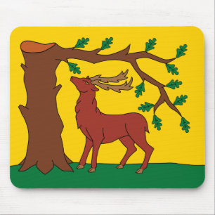 Flag of historic county of Berkshire Mouse Pad