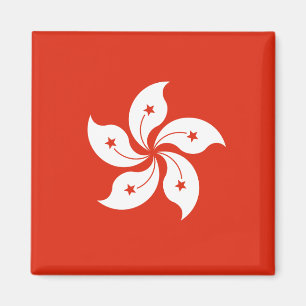 Flag of Hong Kong Magnet