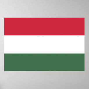 Flag of Hungary tricolor Poster