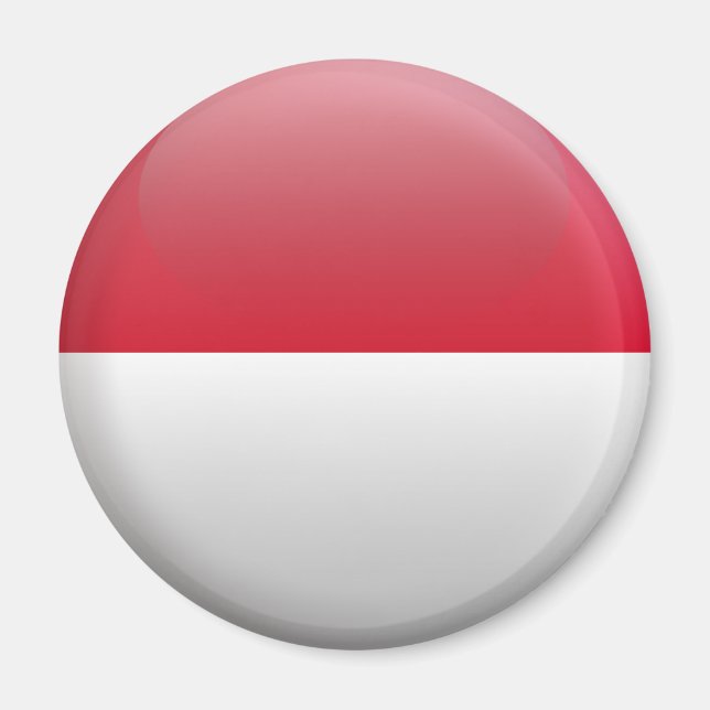 Flag of Indonesia Magnet (Front)