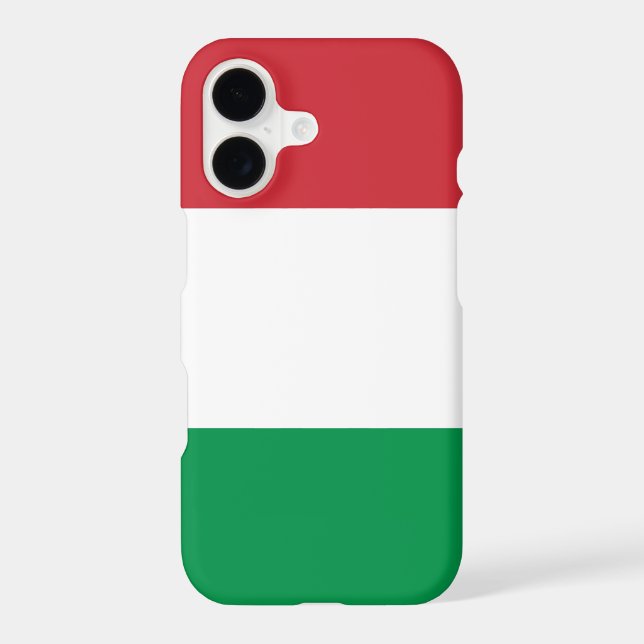 Flag of Italy (Back)