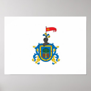 Flag of Jalisco (heraldry) Poster