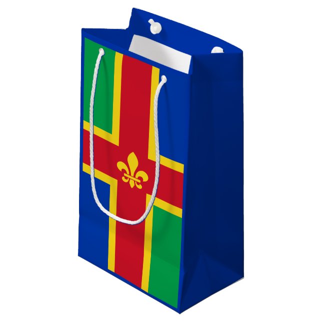 Flag of Lincolnshire Small Gift Bag (Front Angled)