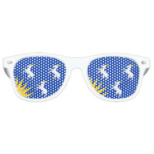 Flag of Merionethshire Retro Sunglasses