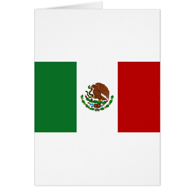 Flag of Mexico (Front)
