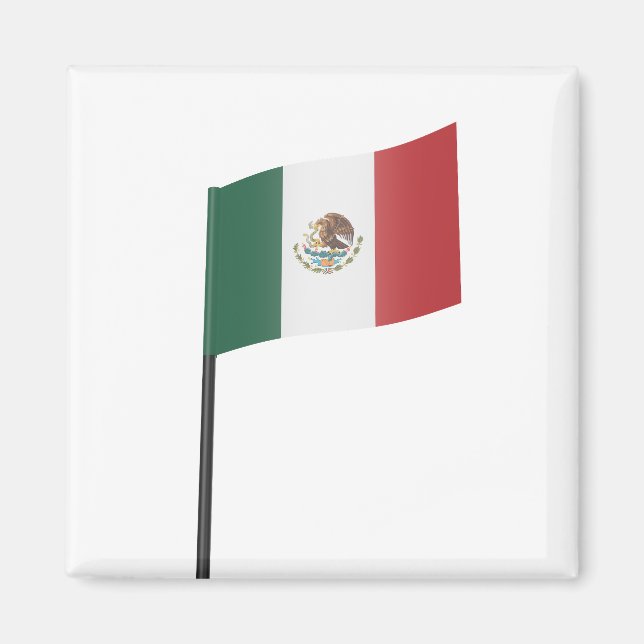 Flag of Mexico Magnet (Front)