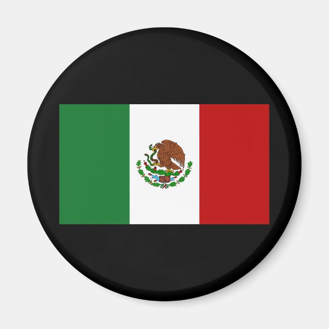 Flag of Mexico Magnet (Front)