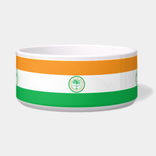Flag of Miami, Florida Bowl