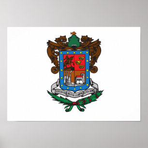 Flag of Michoacan Poster