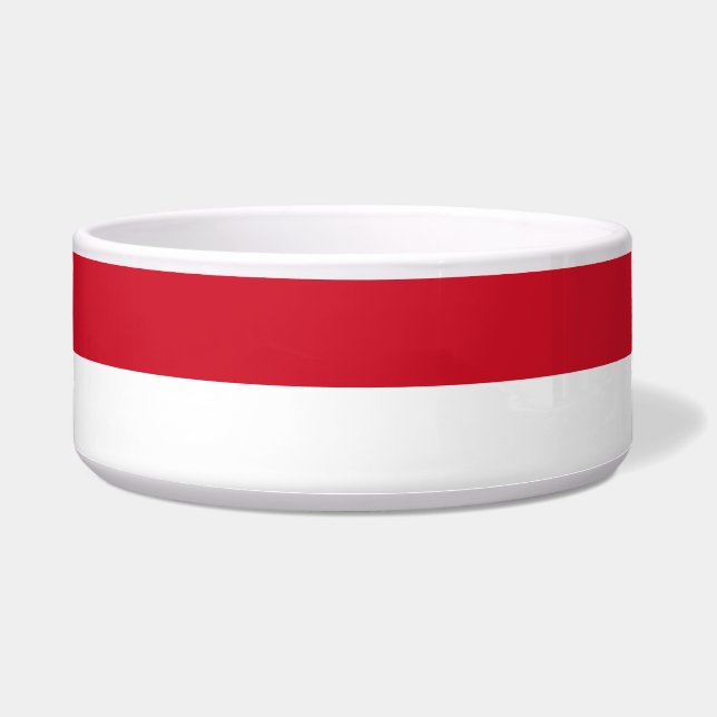 Flag of Monaco (Front)