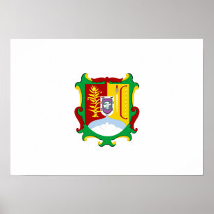 Flag of Nayarit Poster