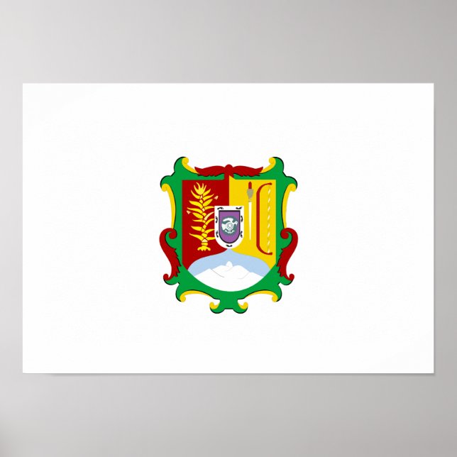 Flag of Nayarit Poster (Front)
