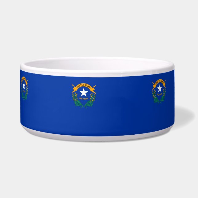 Flag of Nevada (Front)