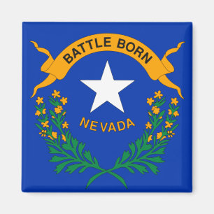Flag of Nevada (detail) Magnet
