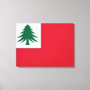Flag of New England Canvas Print
