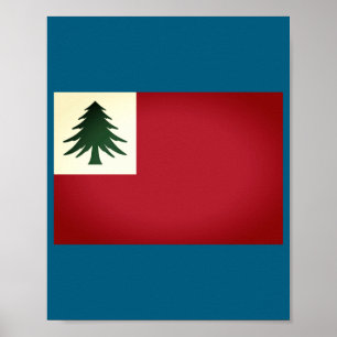 Flag Of New England Ne Only Un  Poster