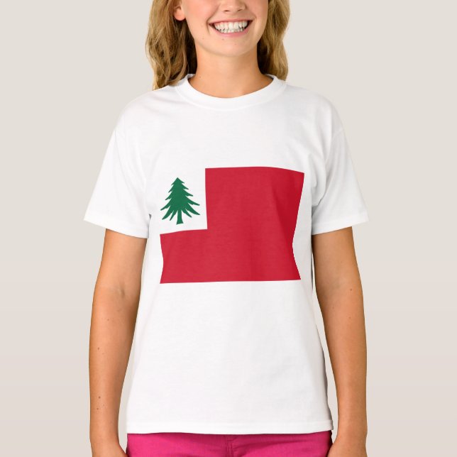 Flag of New England T-Shirt (Front)