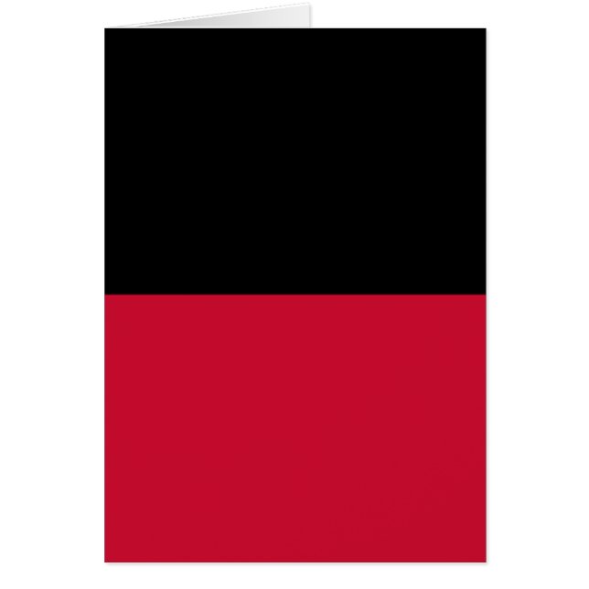 Flag of Nijmegen (Front)