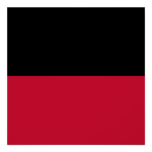 Flag of Nijmegen Poster