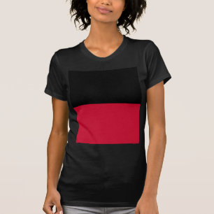 Flag of Nijmegen T-Shirt