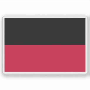 Flag of Nijmegen, the Netherlands