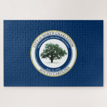 Flag of North Charleston (South Carolina)