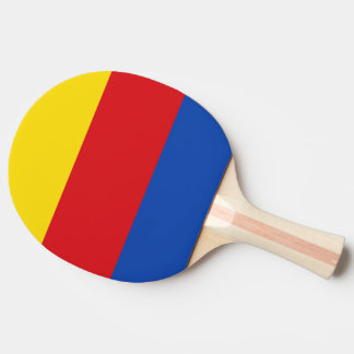 Flag of North Holland Ping Pong Paddle