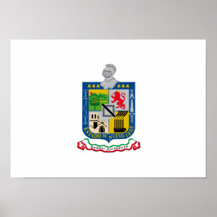 Flag of Nuevo_Leon Poster