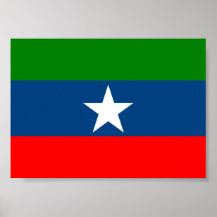 Flag of Ogaden Poster