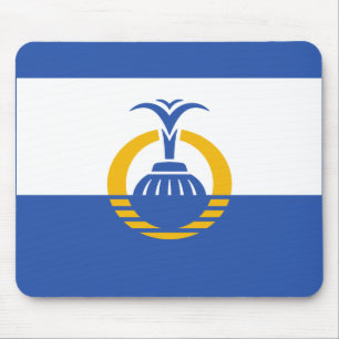 Flag of Orlando, Florida Mouse Pad