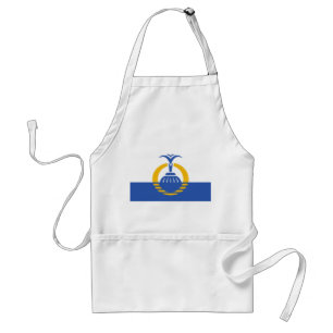 Flag of Orlando, Florida Standard Apron