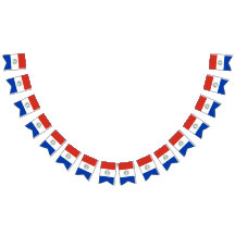 Flag of Paraguay
