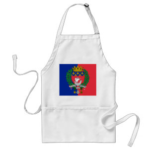 Flag of Paris, France Adult Apron