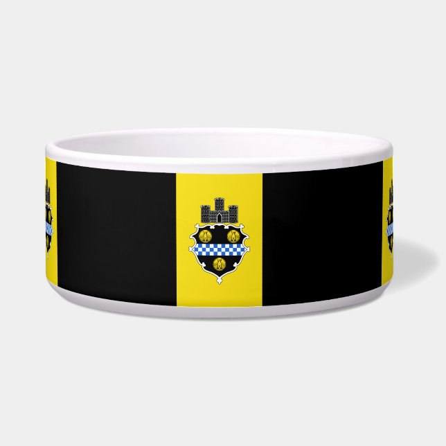 Flag of Pittsburgh, Pennsylvania (Front)