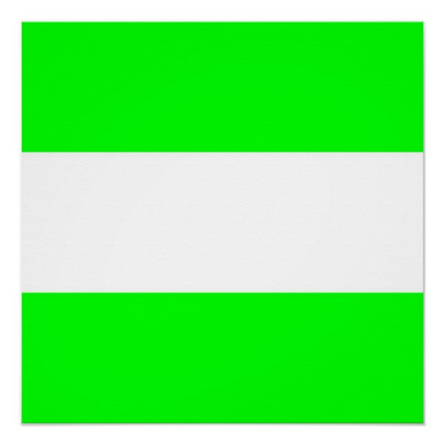 Flag of Rotterdam Poster (Front)