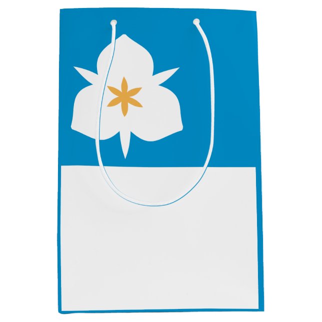Flag of Salt Lake City, Utah Medium Gift Bag (Front)
