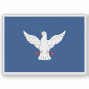 Flag of Salvador, Brazil