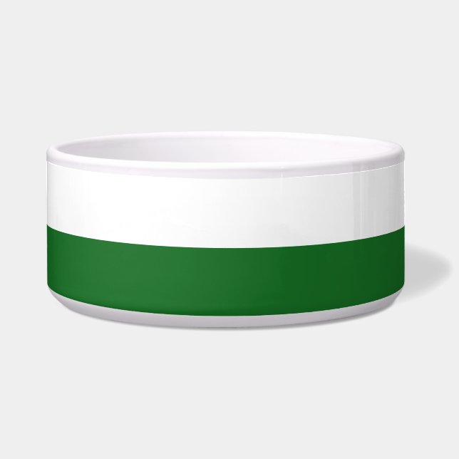 Flag of Saxony (German State) (Front)
