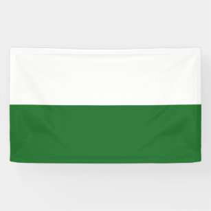 Flag of Saxony (German State) Banner