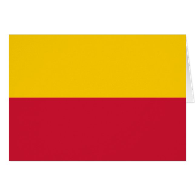 Flag of Schagen (Front Horizontal)