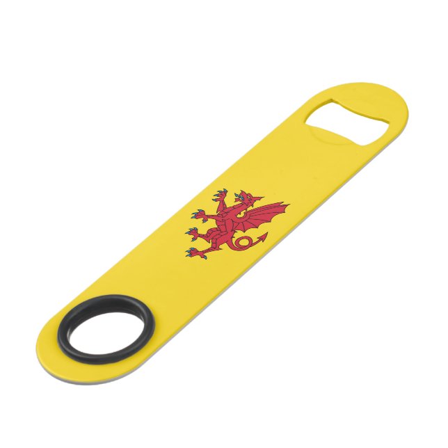 Flag of Somerset Bar Key (Front Angled)