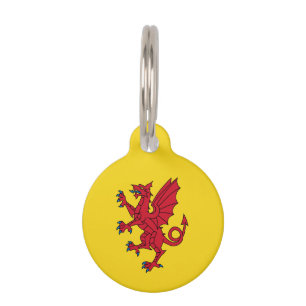 Flag of Somerset Pet Tag