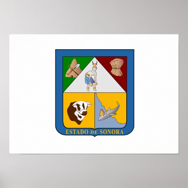 Flag of Sonora Poster (Front)