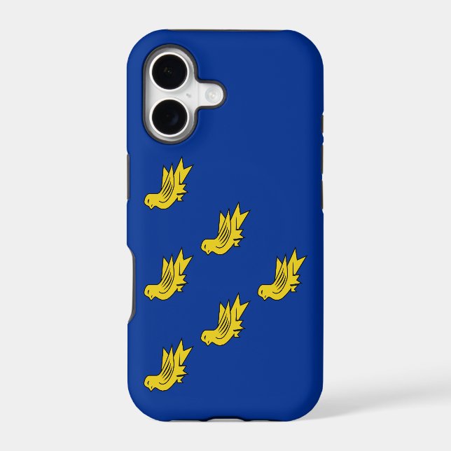 Flag of Sussex  (Back)