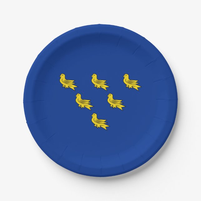 Flag of Sussex Paper Plates (Front)