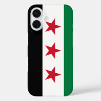 Flag of Syria (December 2024)