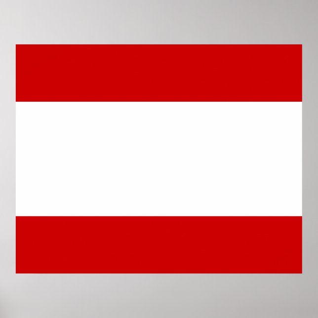 Flag of Tahiti Poster (Front)