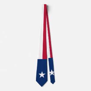 Flag of Texas Tie