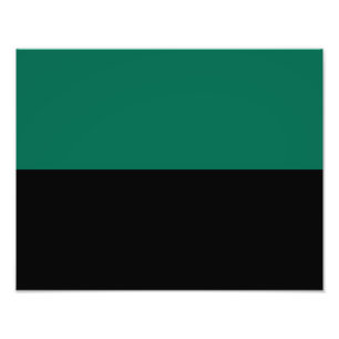 Flag of Texel Photo Print